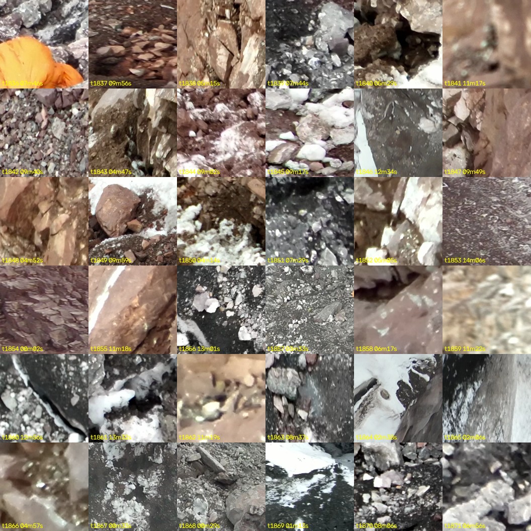 montage_51.jpg