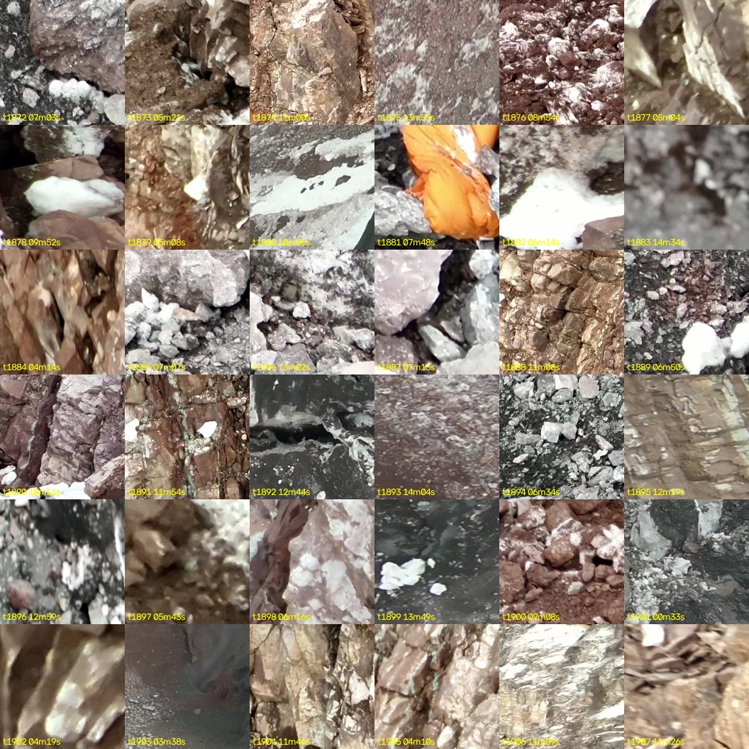 montage_52.jpg