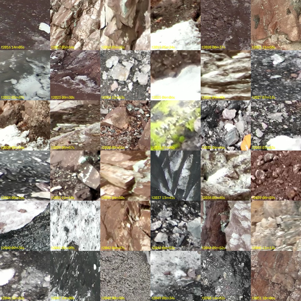 montage_56.jpg