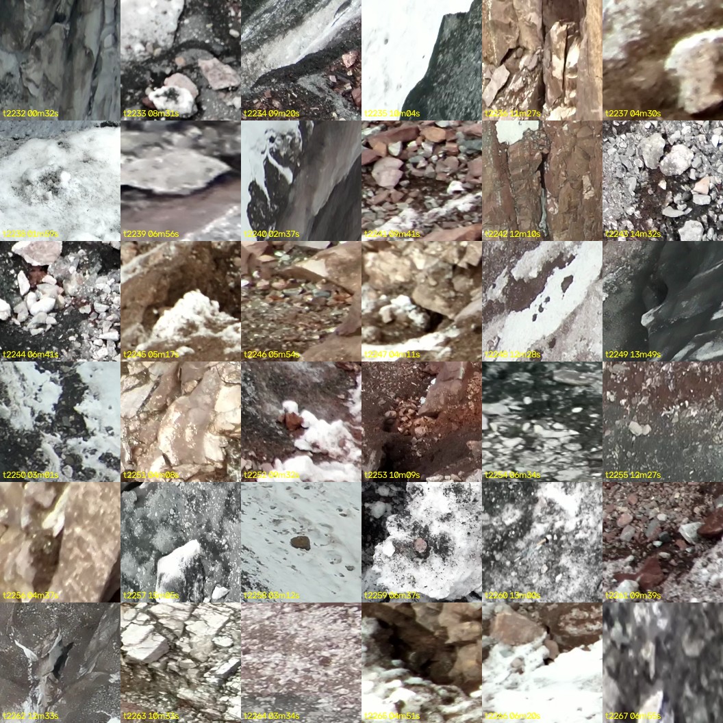 montage_62.jpg