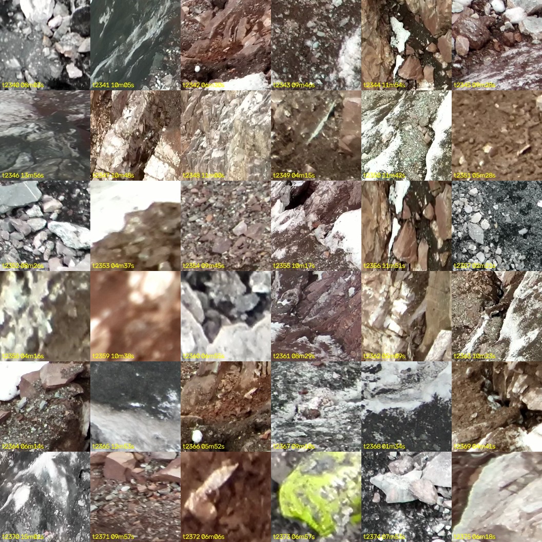 montage_65.jpg