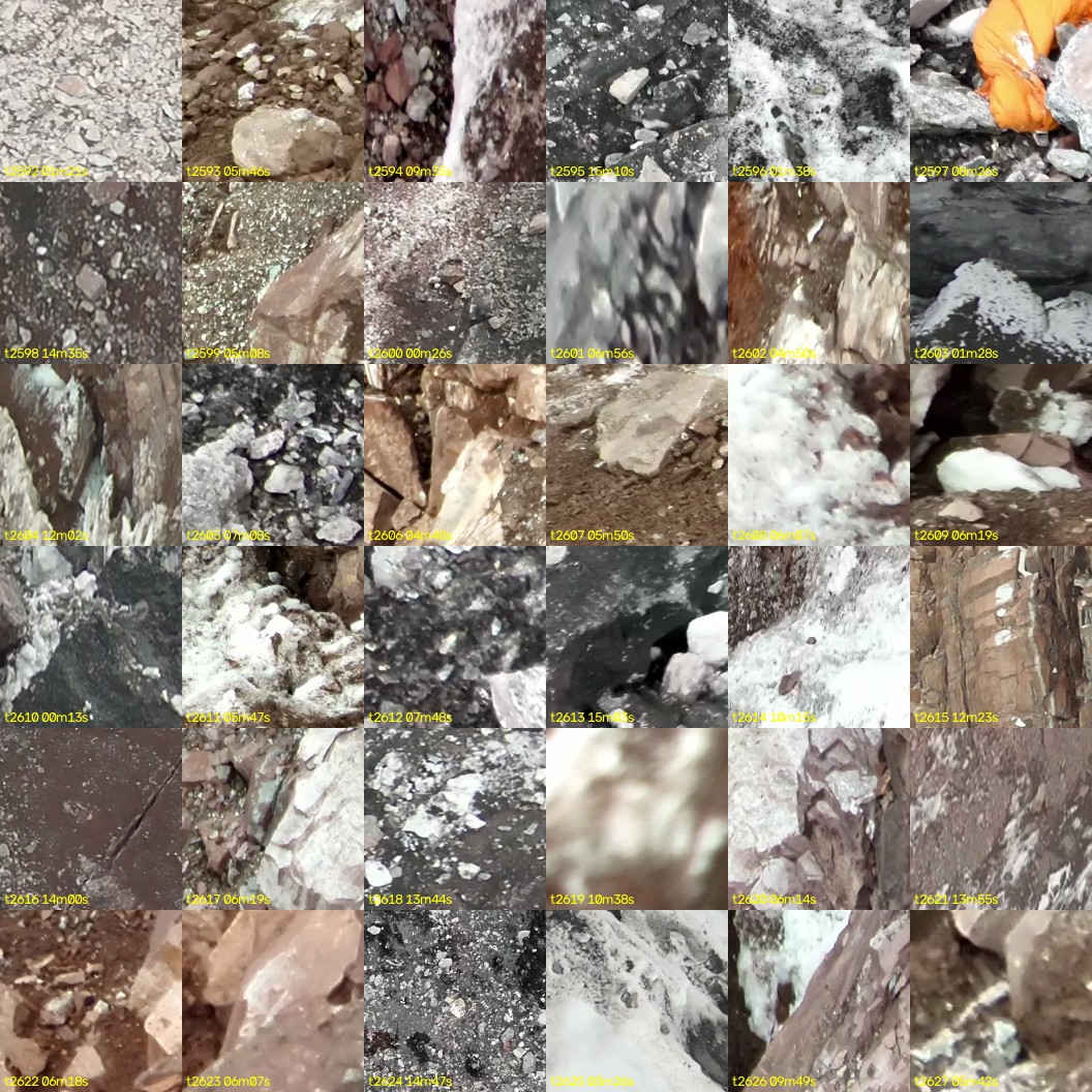 montage_72.jpg