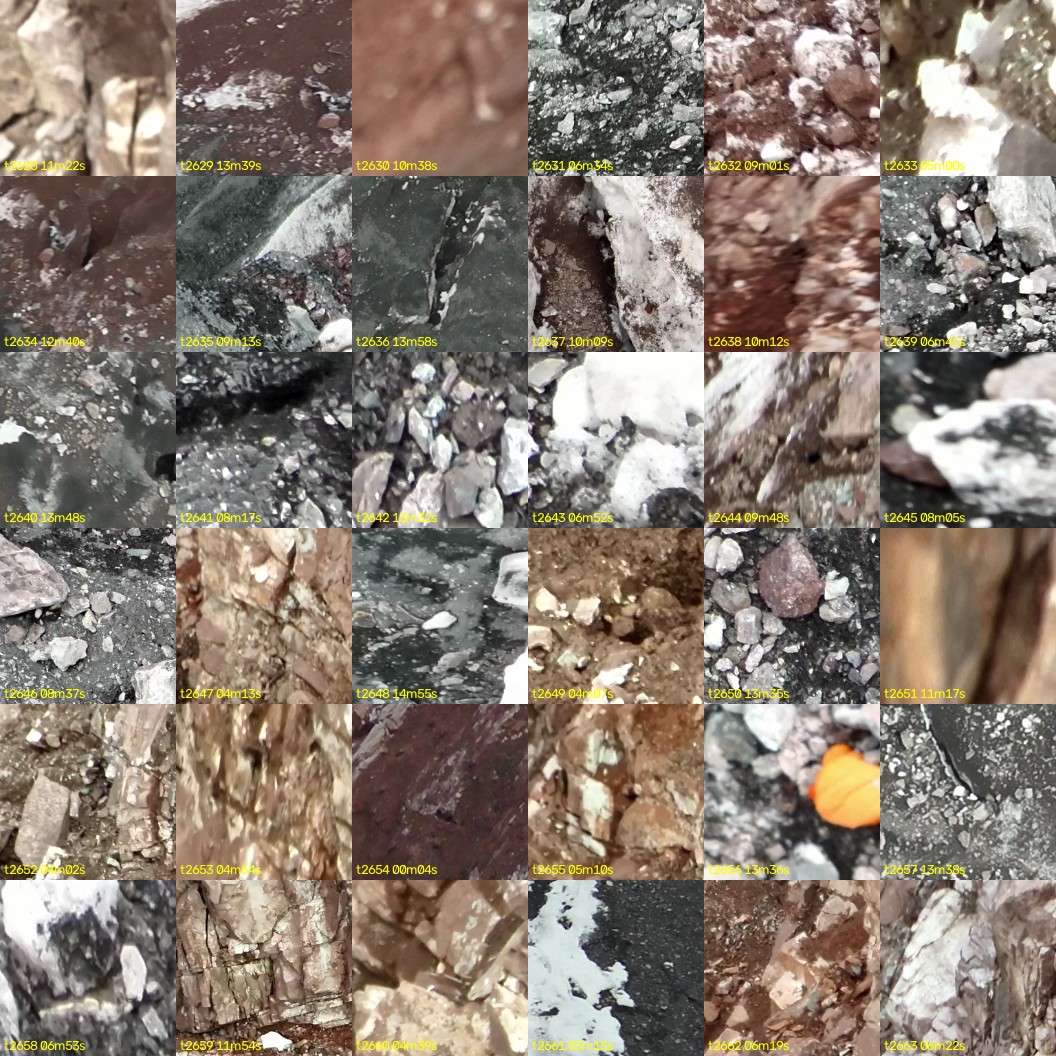 montage_73.jpg