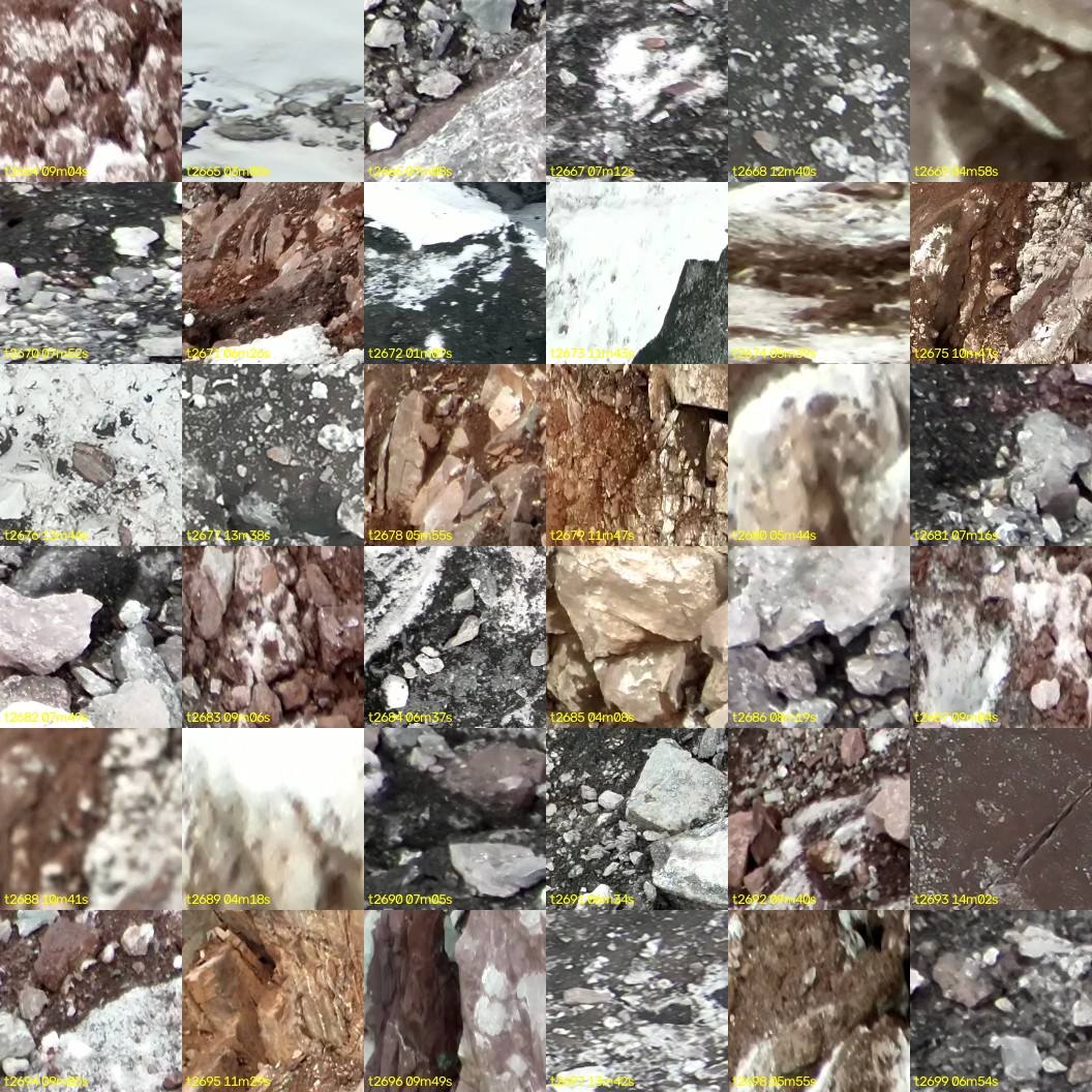 montage_74.jpg