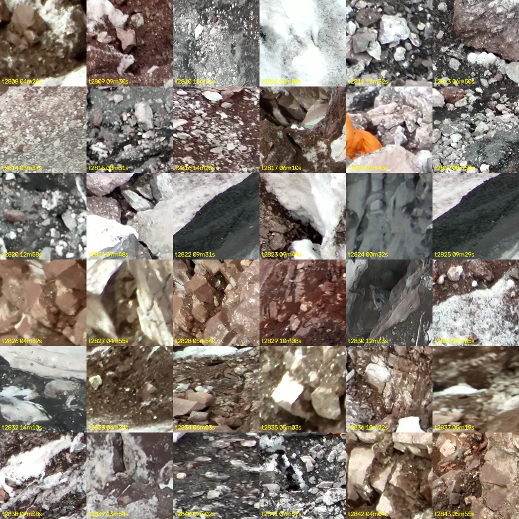 montage_78.jpg