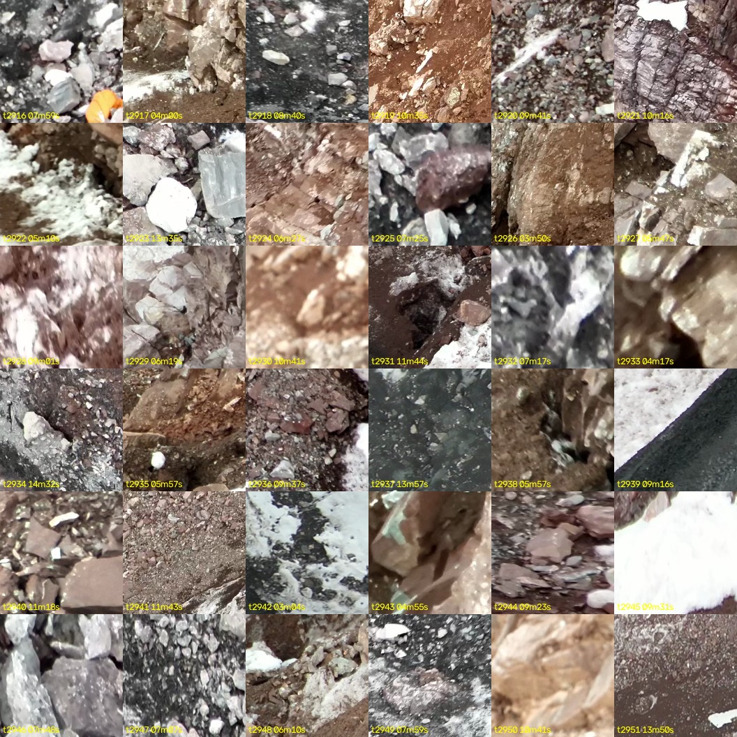 montage_81.jpg