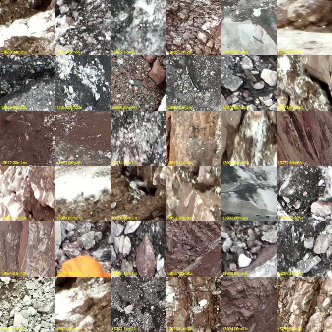 montage_85.jpg