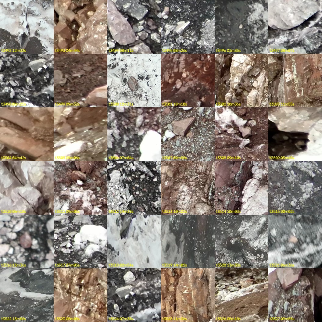 montage_97.jpg