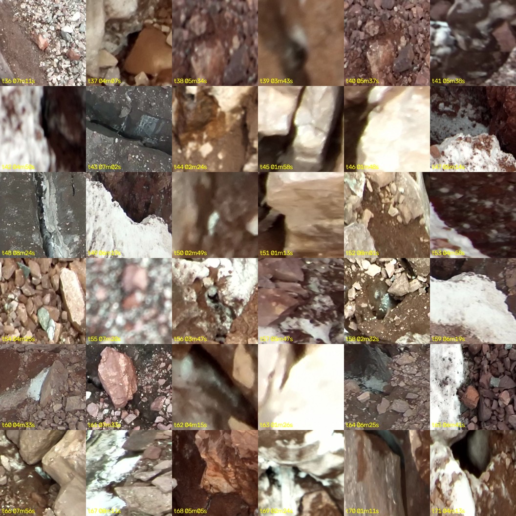 montage_01.jpg