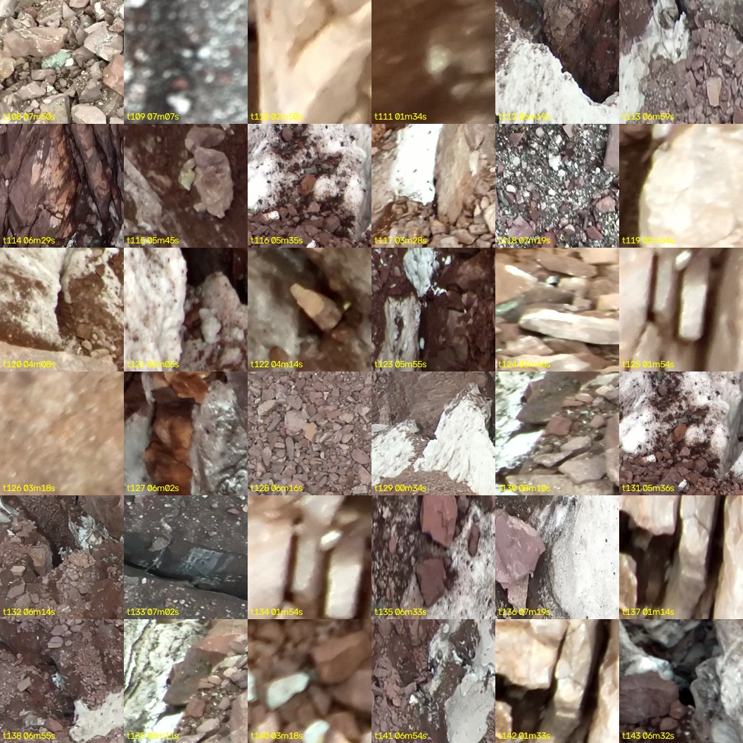 montage_03.jpg