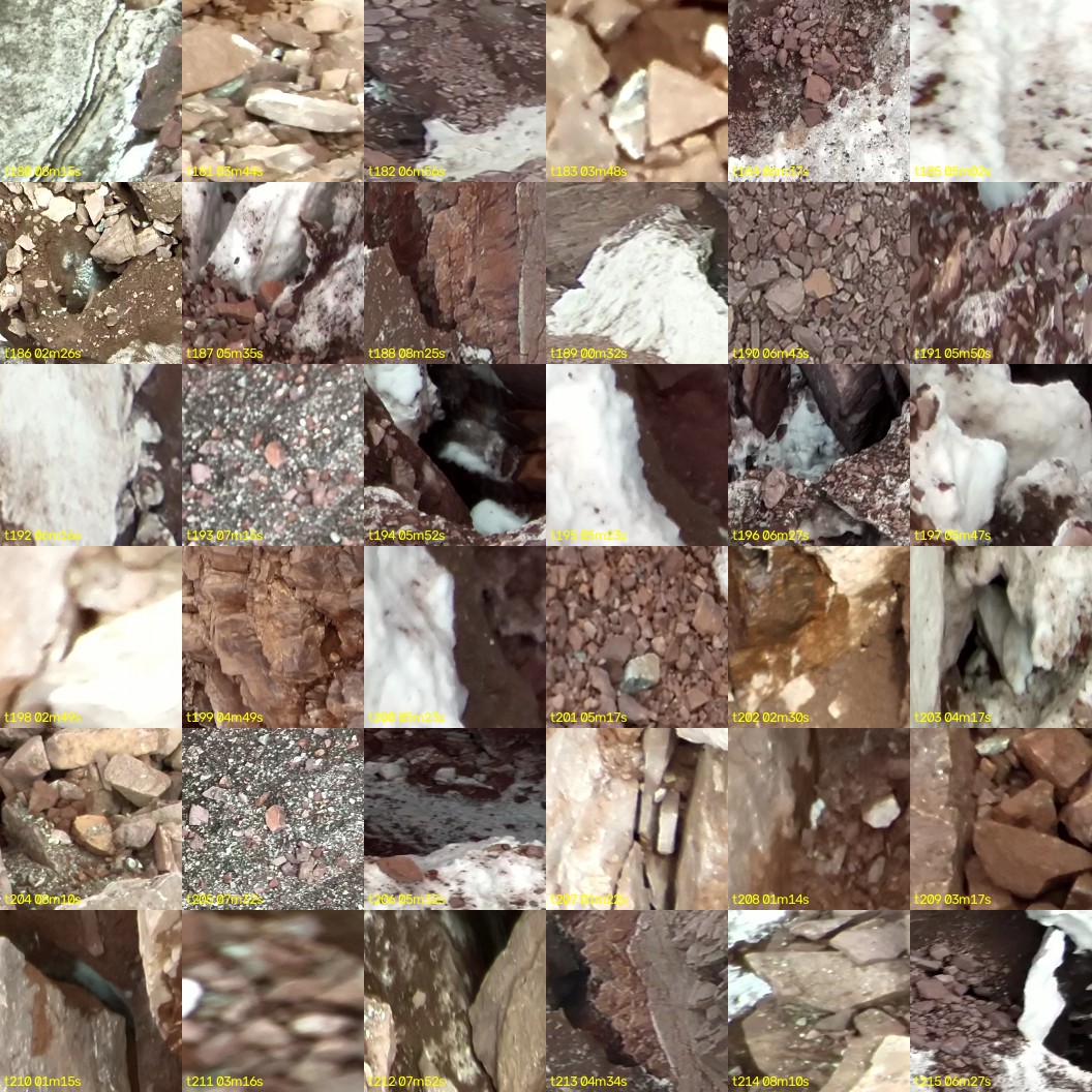 montage_05.jpg