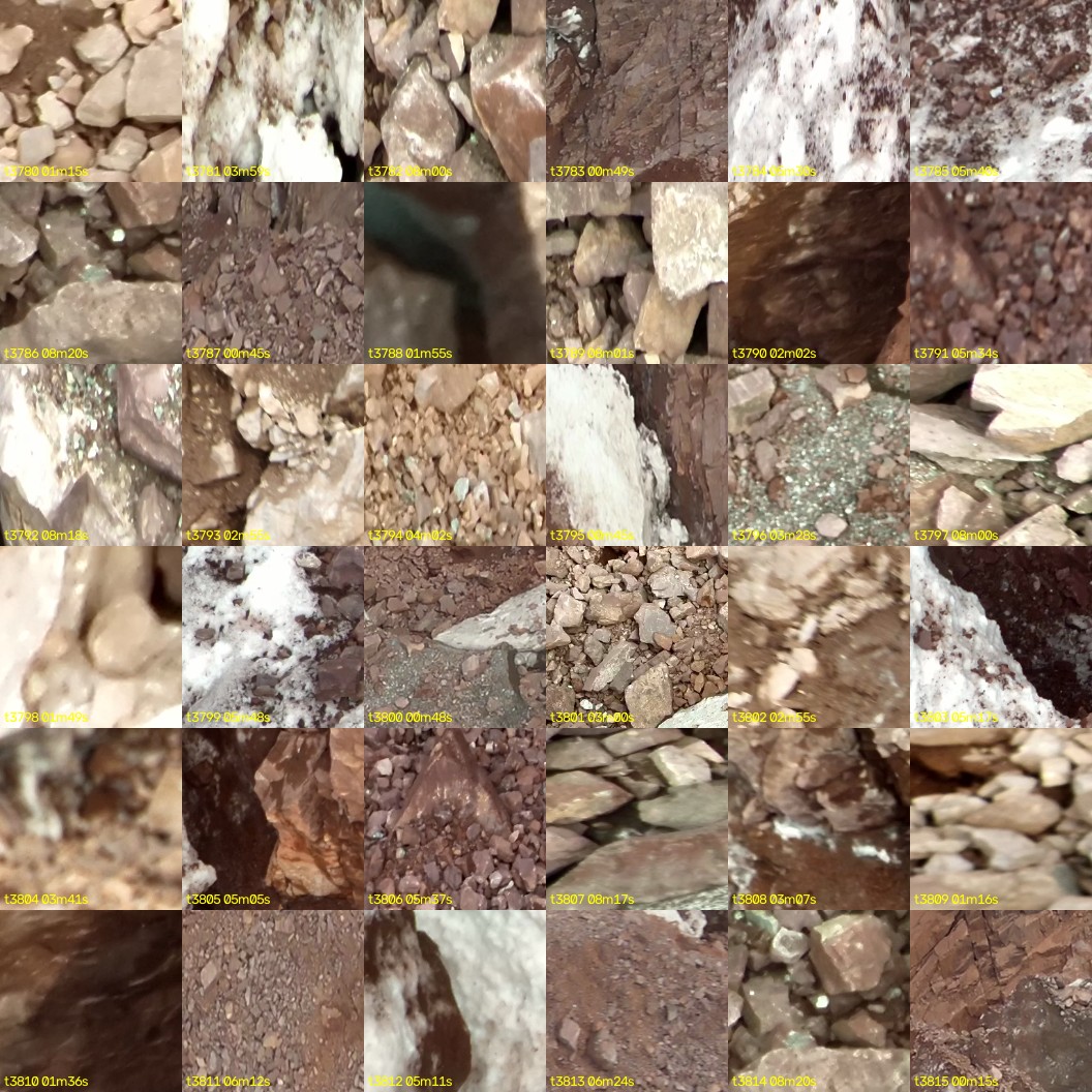 montage_105.jpg