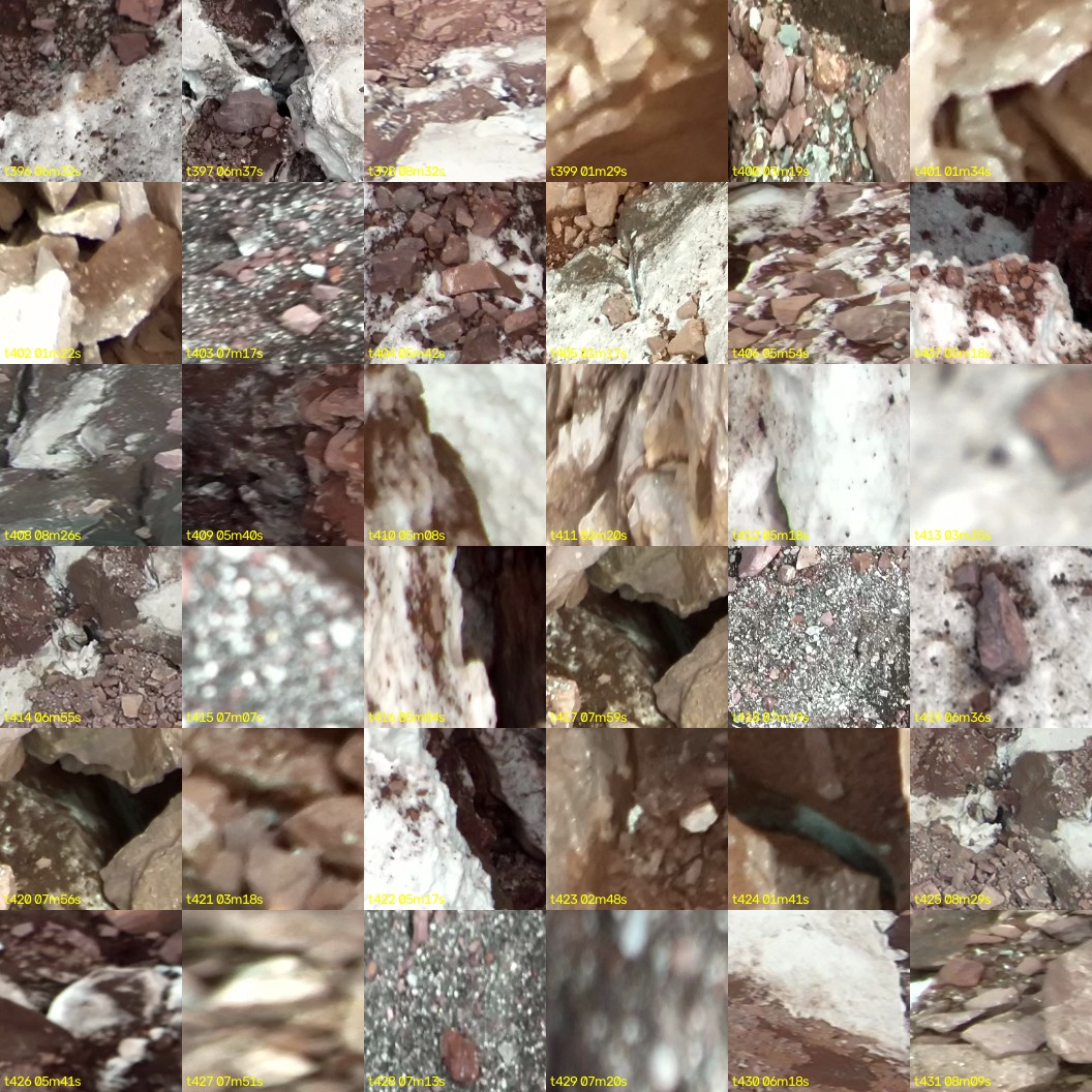 montage_11.jpg