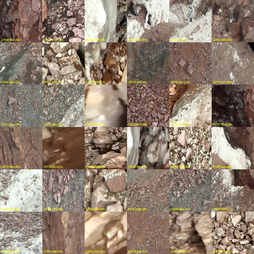 montage_110.jpg