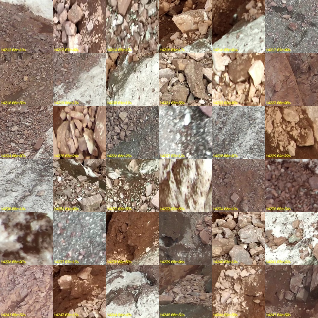 montage_117.jpg
