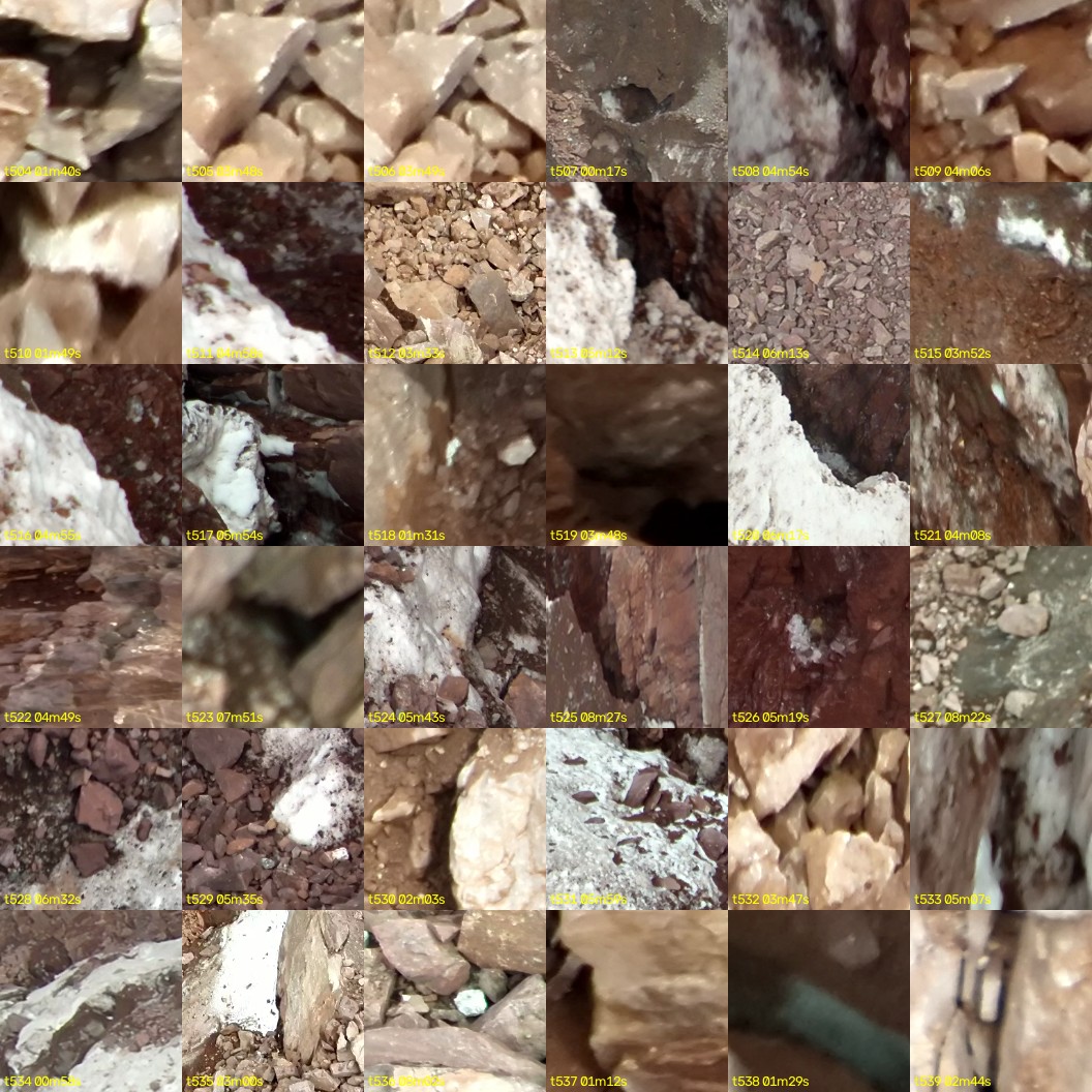 montage_14.jpg