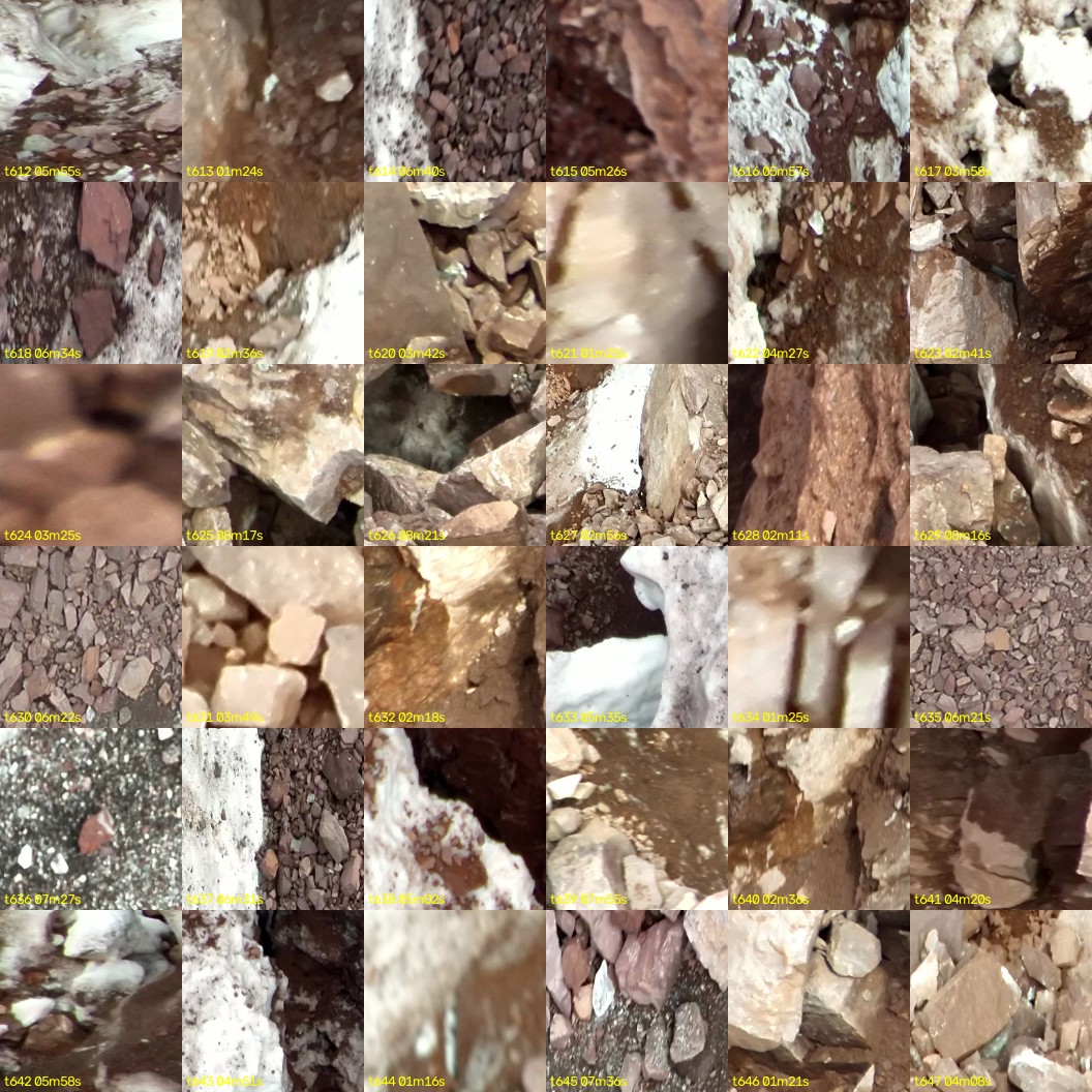 montage_17.jpg