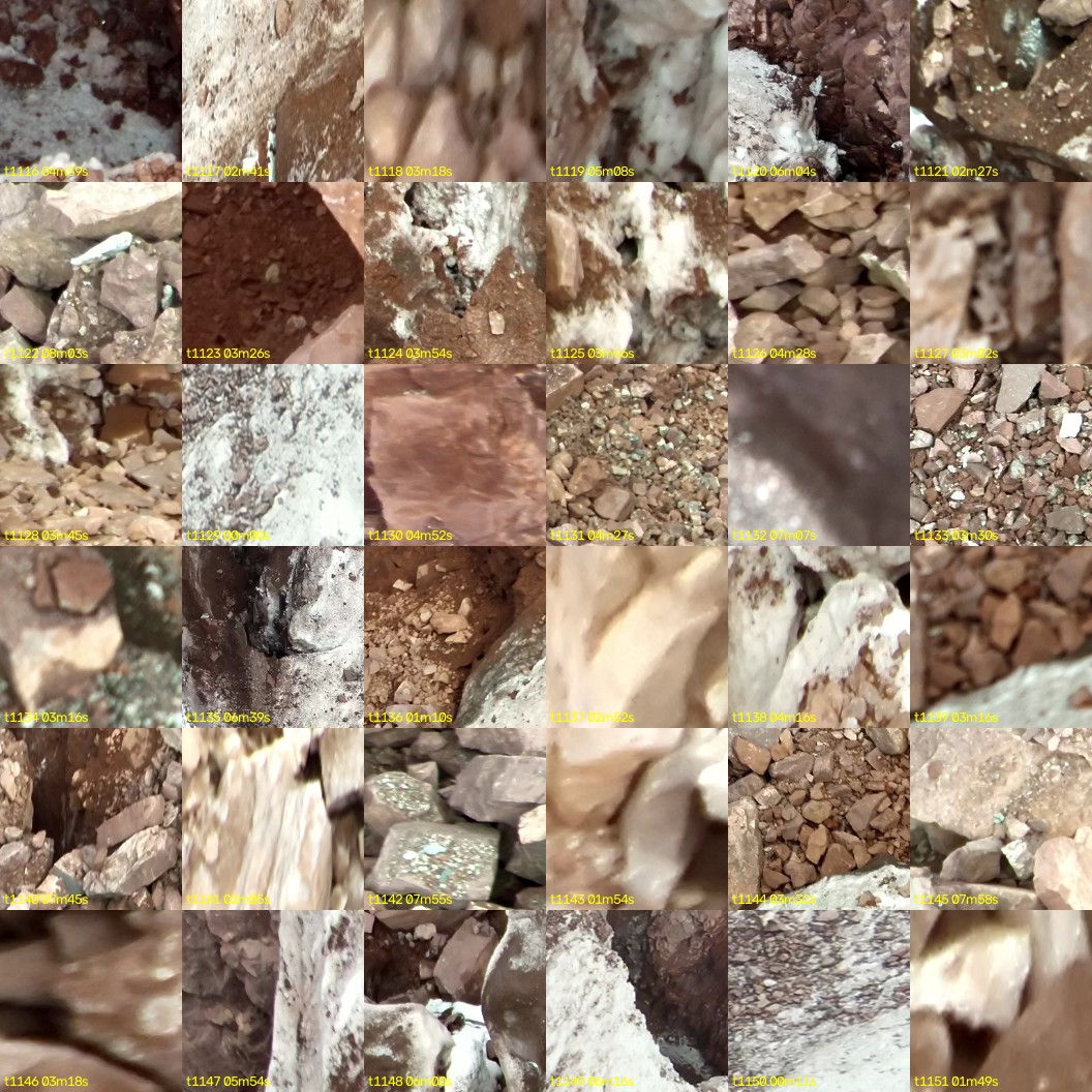 montage_31.jpg