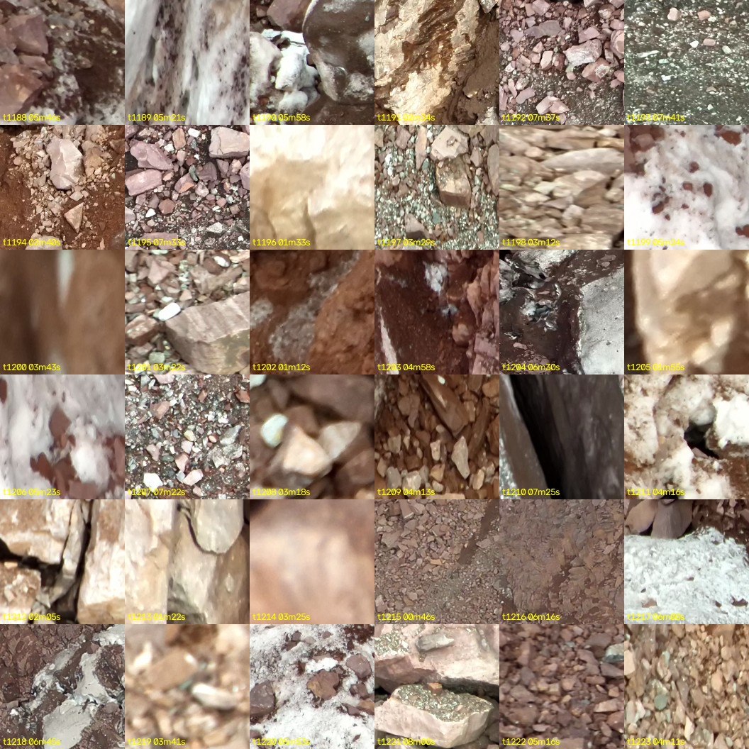 montage_33.jpg