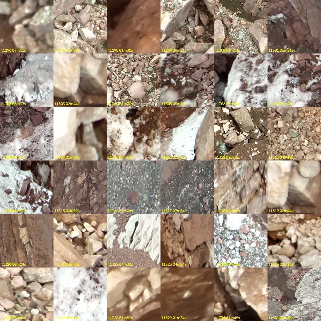 montage_36.jpg