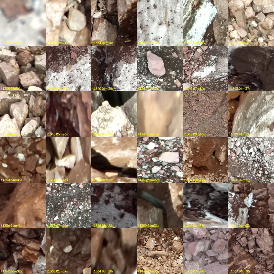 montage_37.jpg