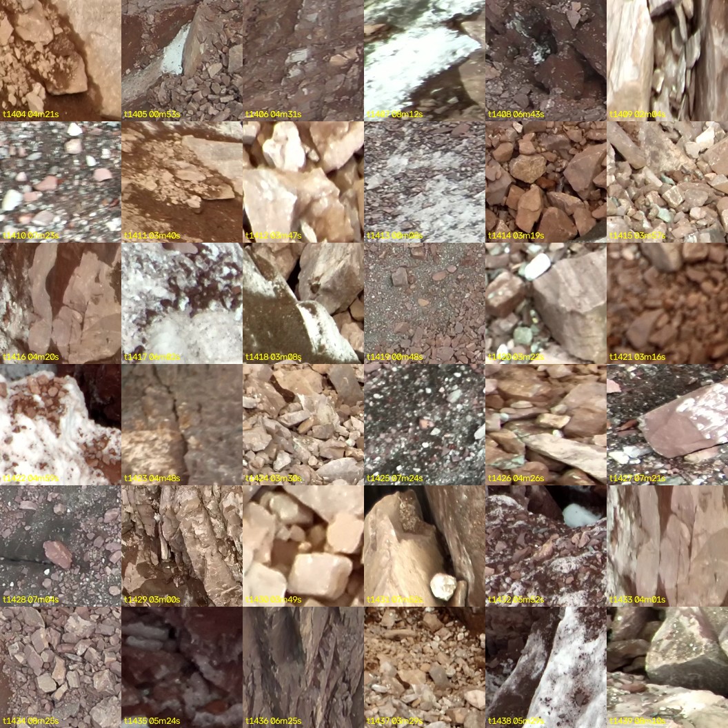 montage_39.jpg