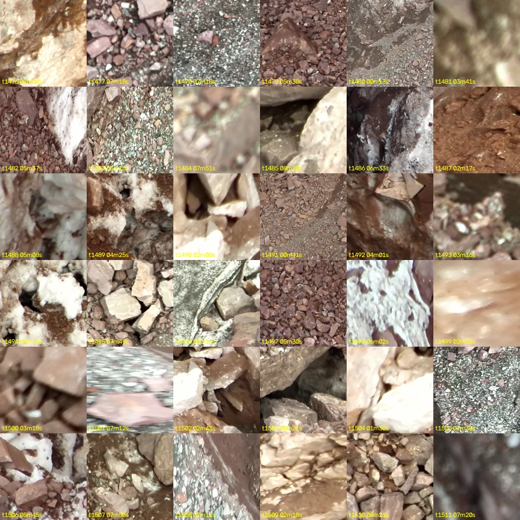 montage_41.jpg