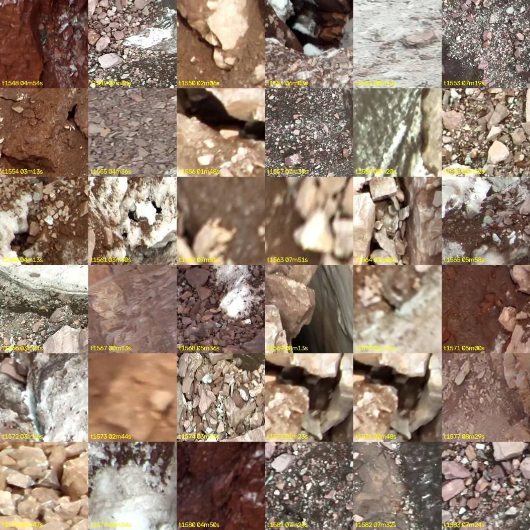 montage_43.jpg