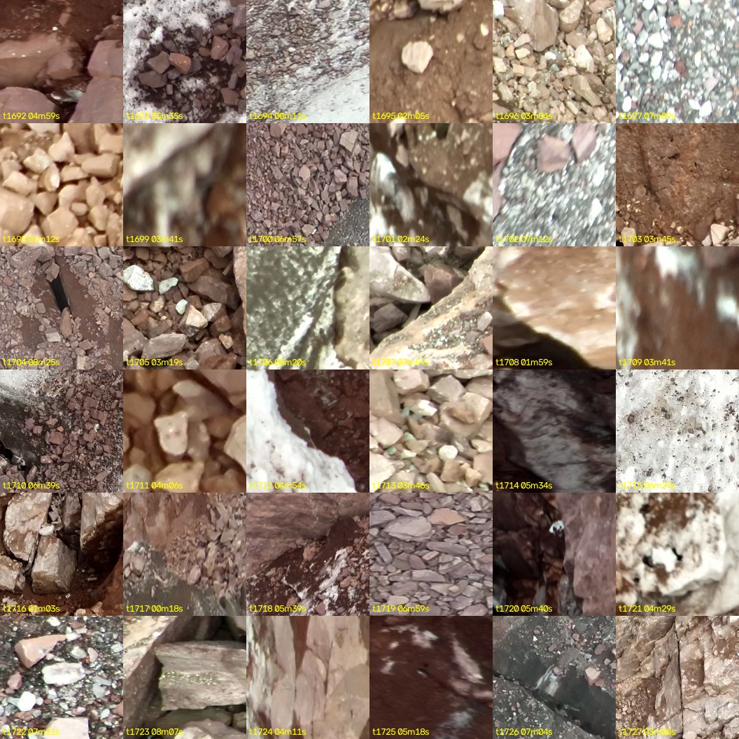 montage_47.jpg