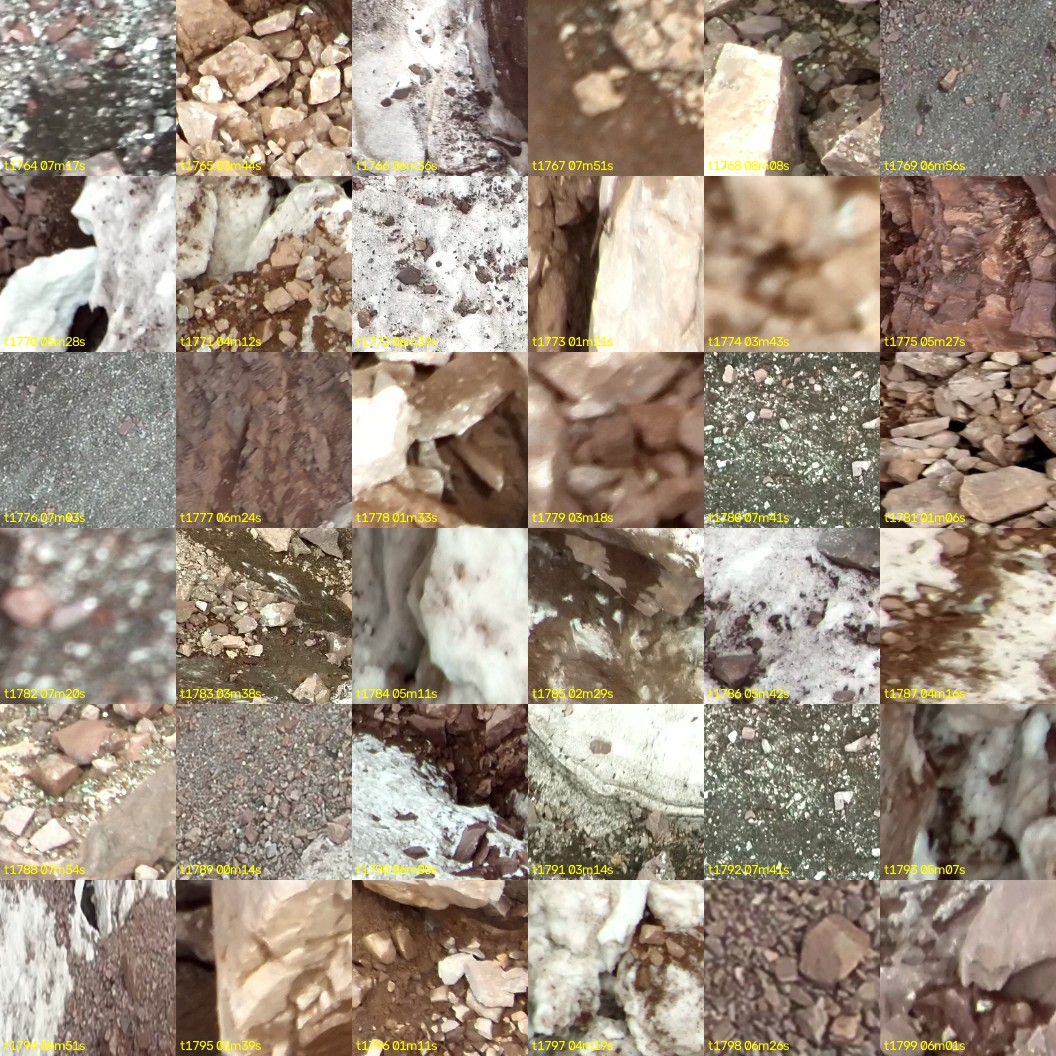 montage_49.jpg