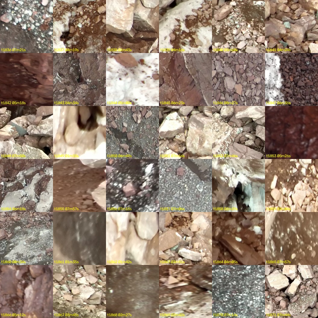 montage_51.jpg