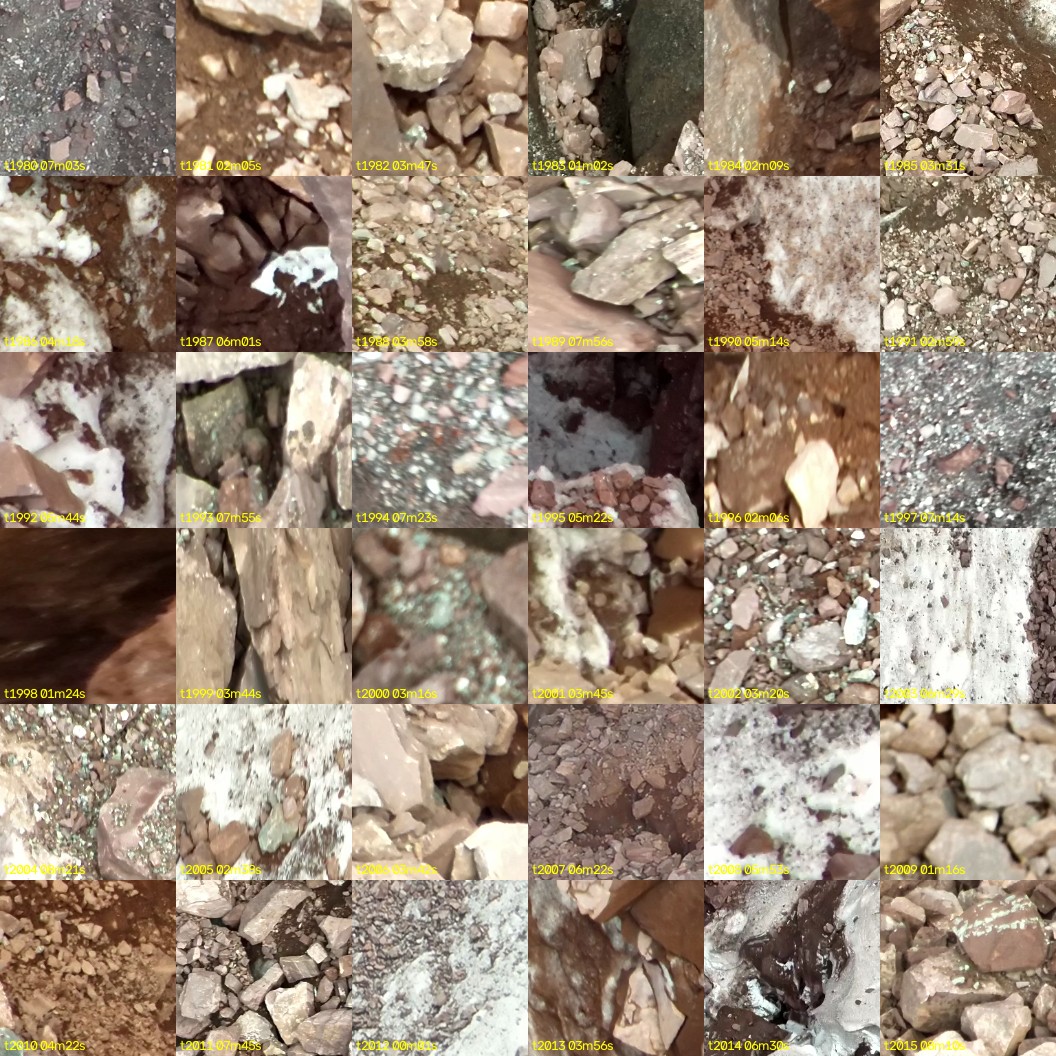 montage_55.jpg