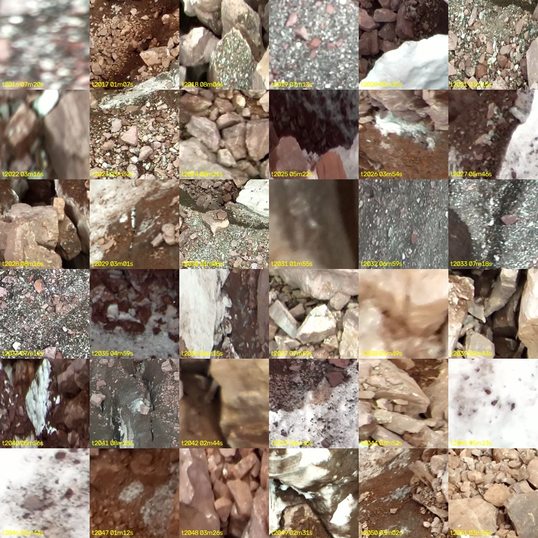 montage_56.jpg