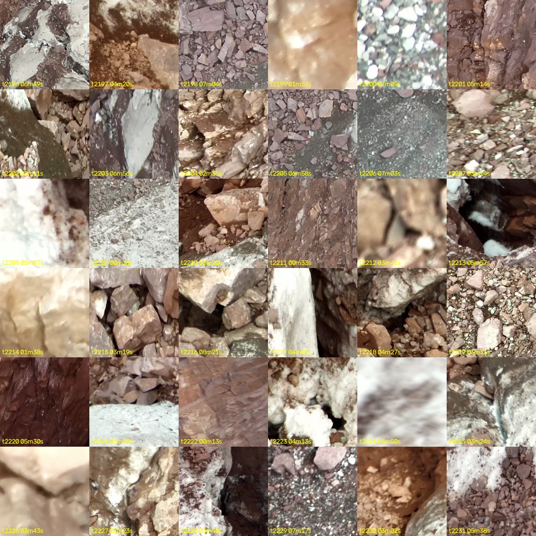 montage_61.jpg