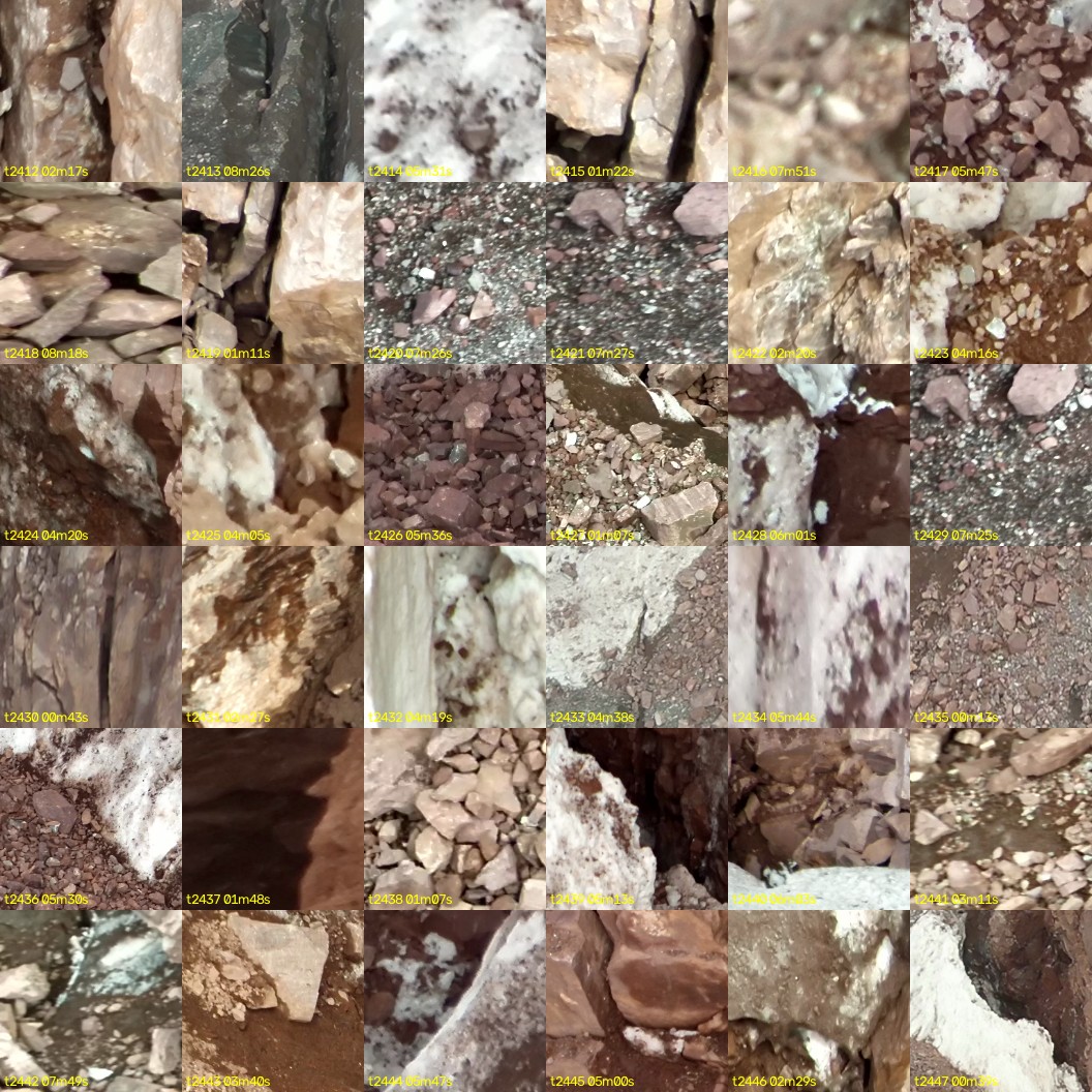 montage_67.jpg
