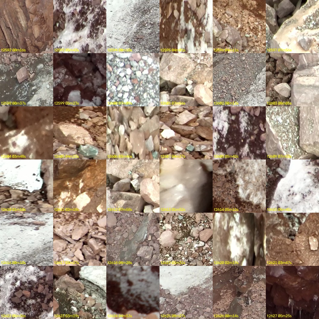montage_72.jpg