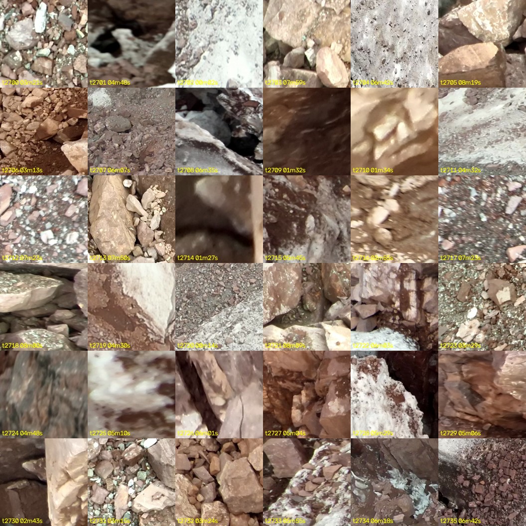 montage_75.jpg
