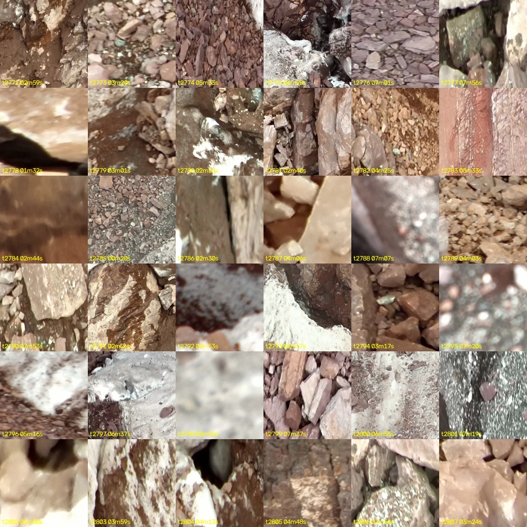 montage_77.jpg