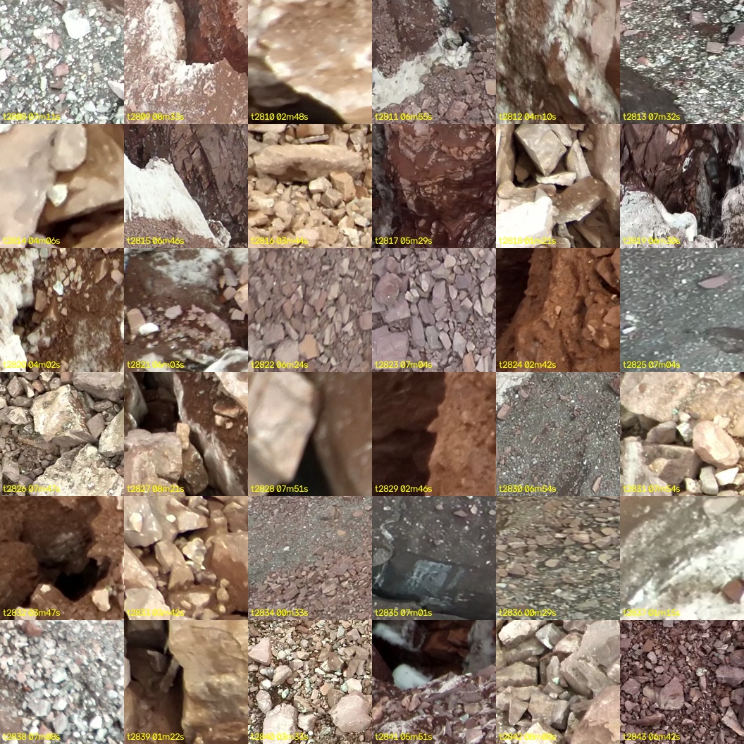 montage_78.jpg