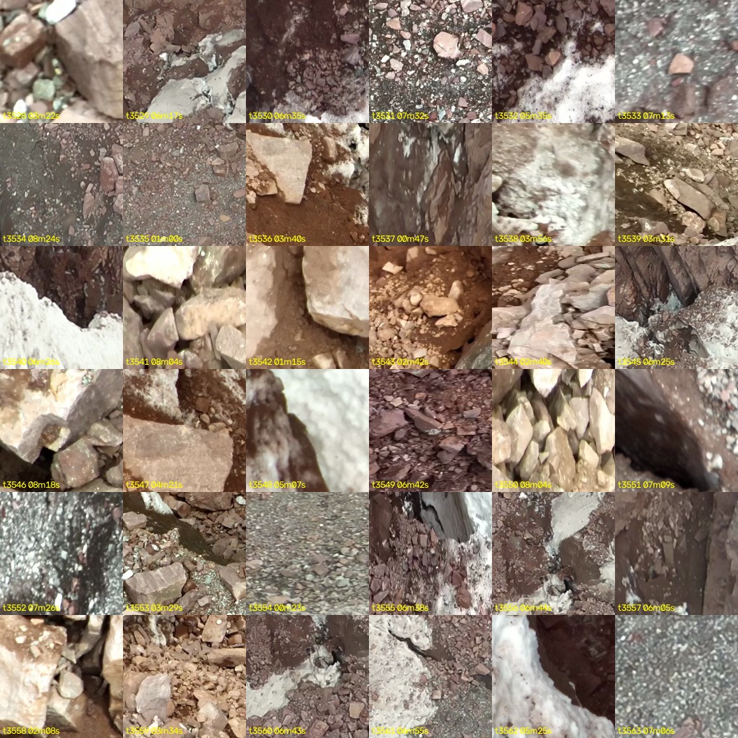 montage_98.jpg