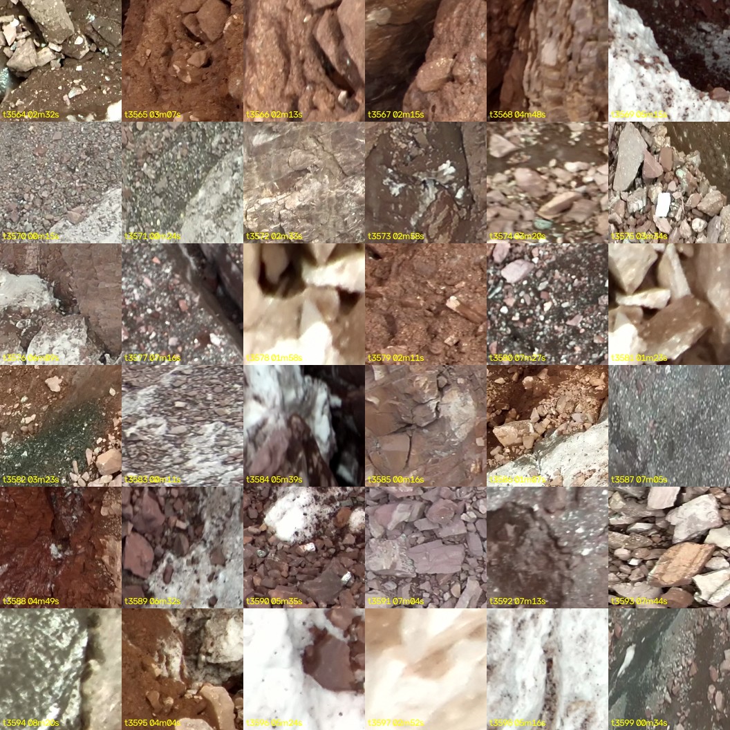 montage_99.jpg