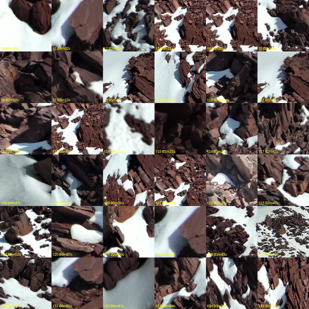 montage_00.jpg