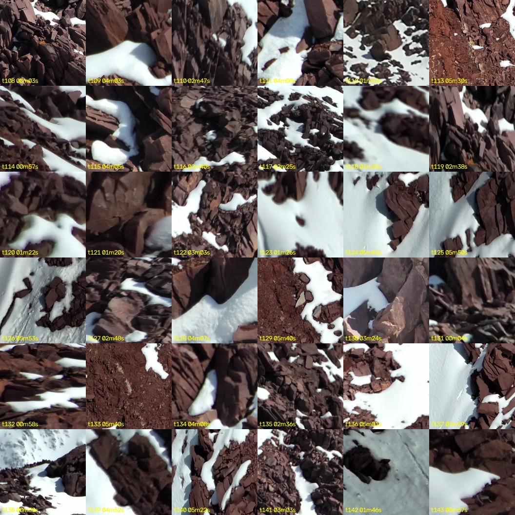 montage_03.jpg
