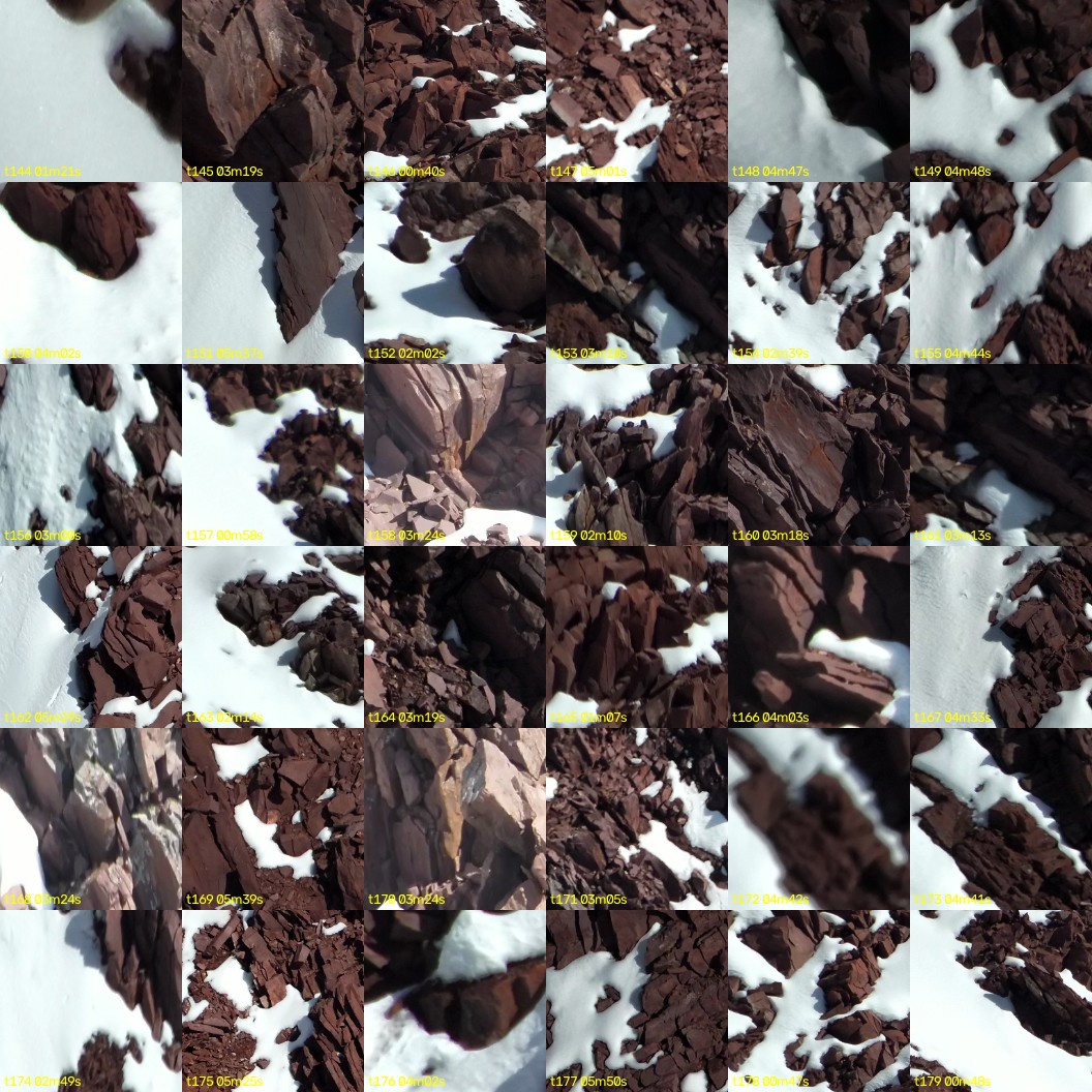 montage_04.jpg