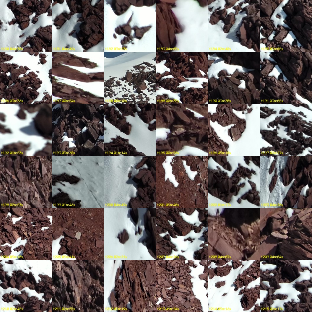 montage_05.jpg