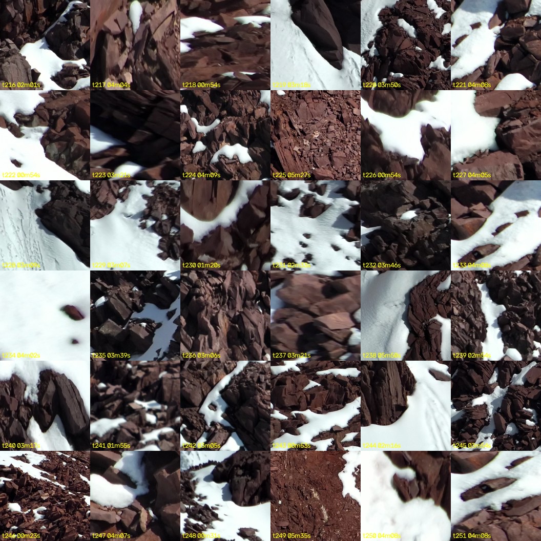 montage_06.jpg