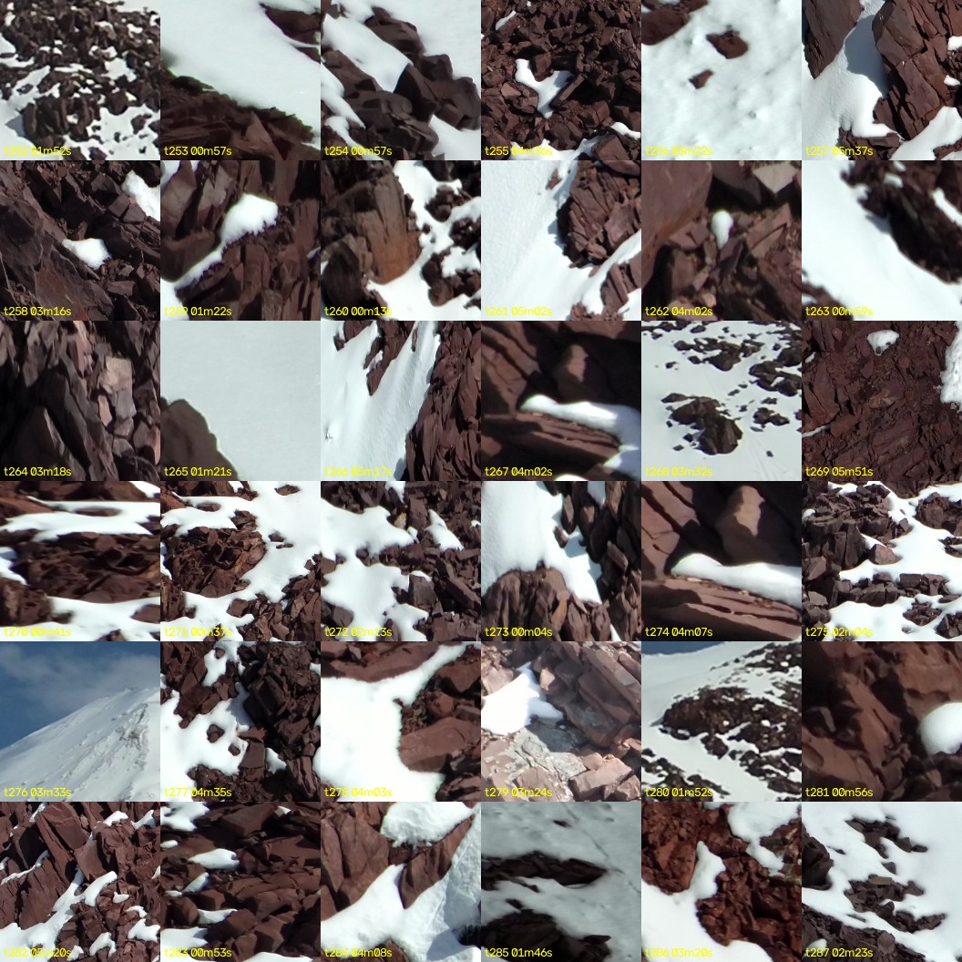 montage_07.jpg