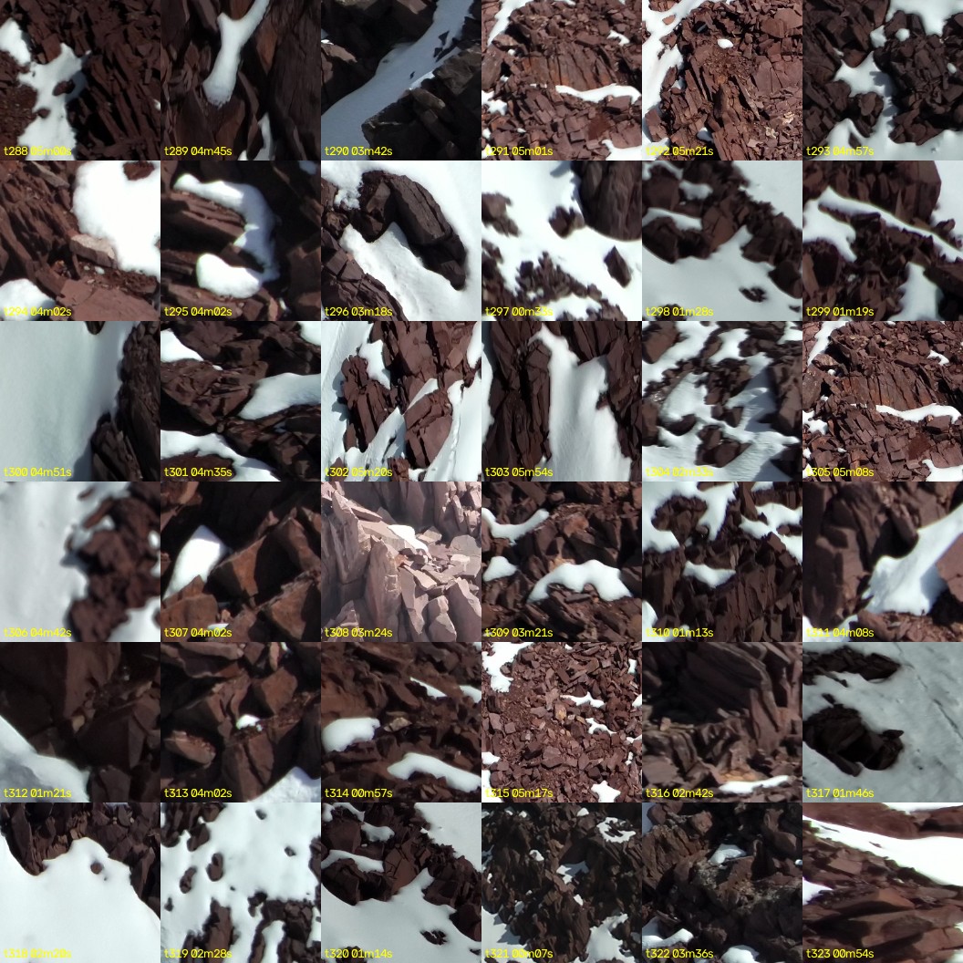 montage_08.jpg