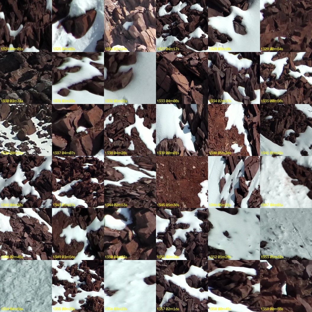 montage_09.jpg