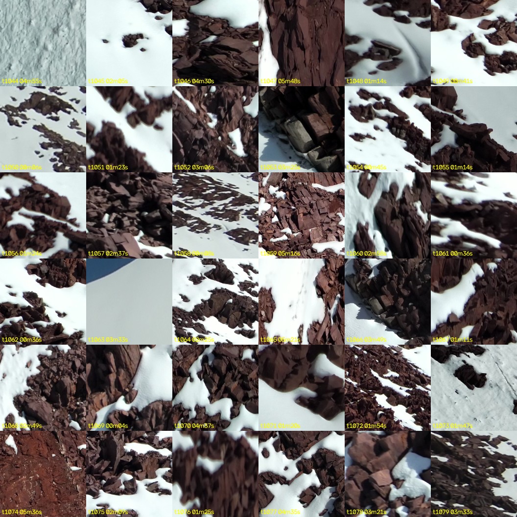 montage_29.jpg
